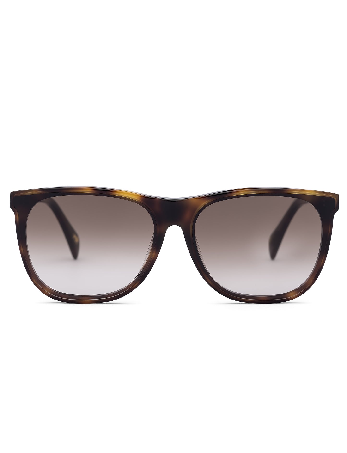 Dark Havana Wayfarer Sunglasses