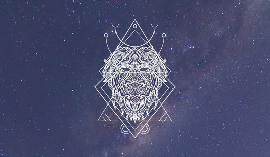 AUGUST HOROSCOPE FOR LEO