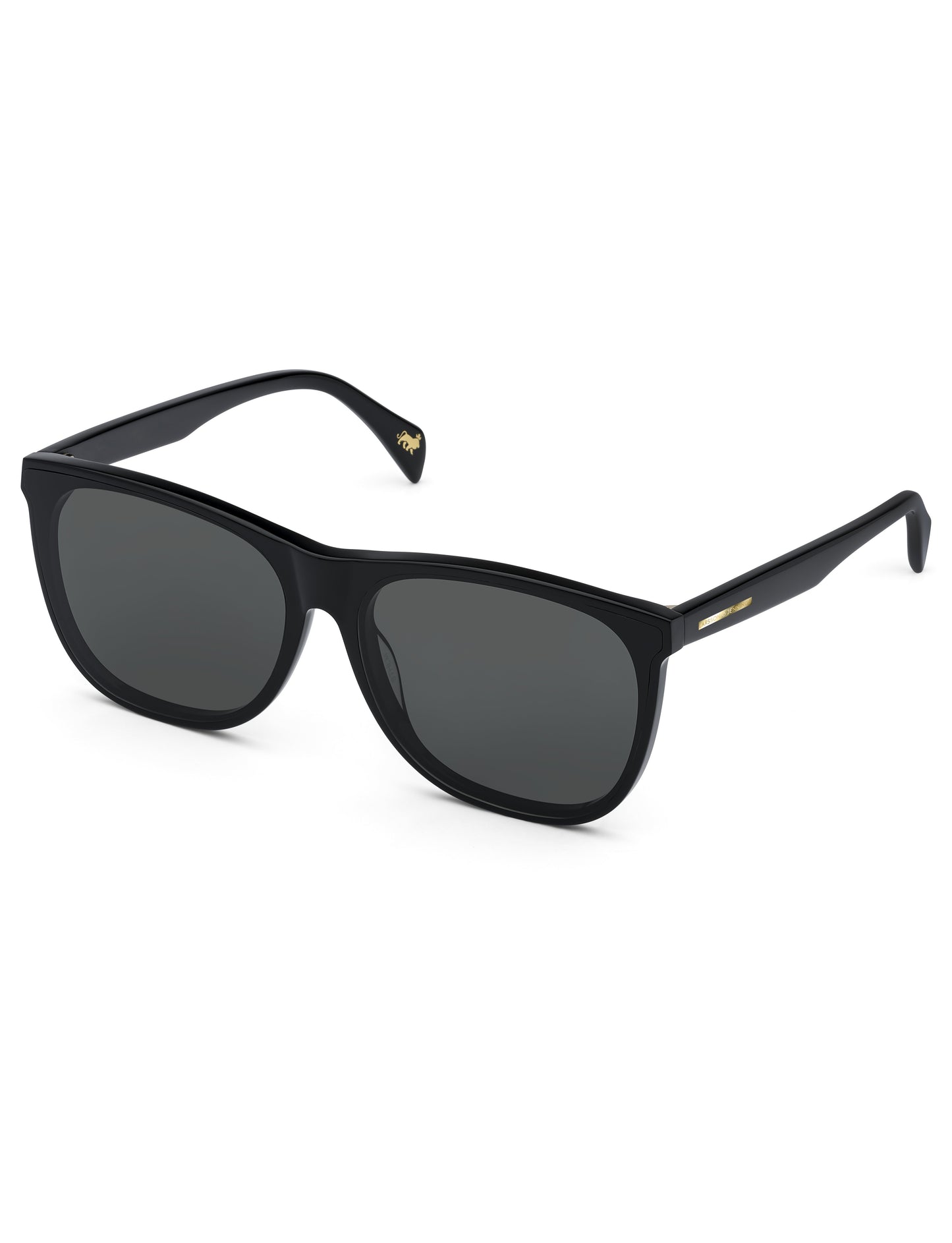 Black Wayfarer Sunglasses