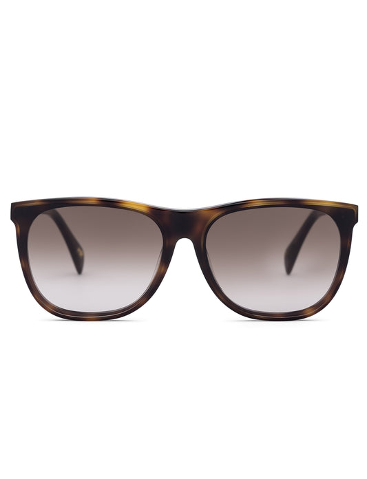 Dark Havana Wayfarer Sunglasses