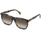 Light Havana Wayfarer Sunglasses
