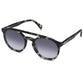 Grey Havana Aviator Sunglasses